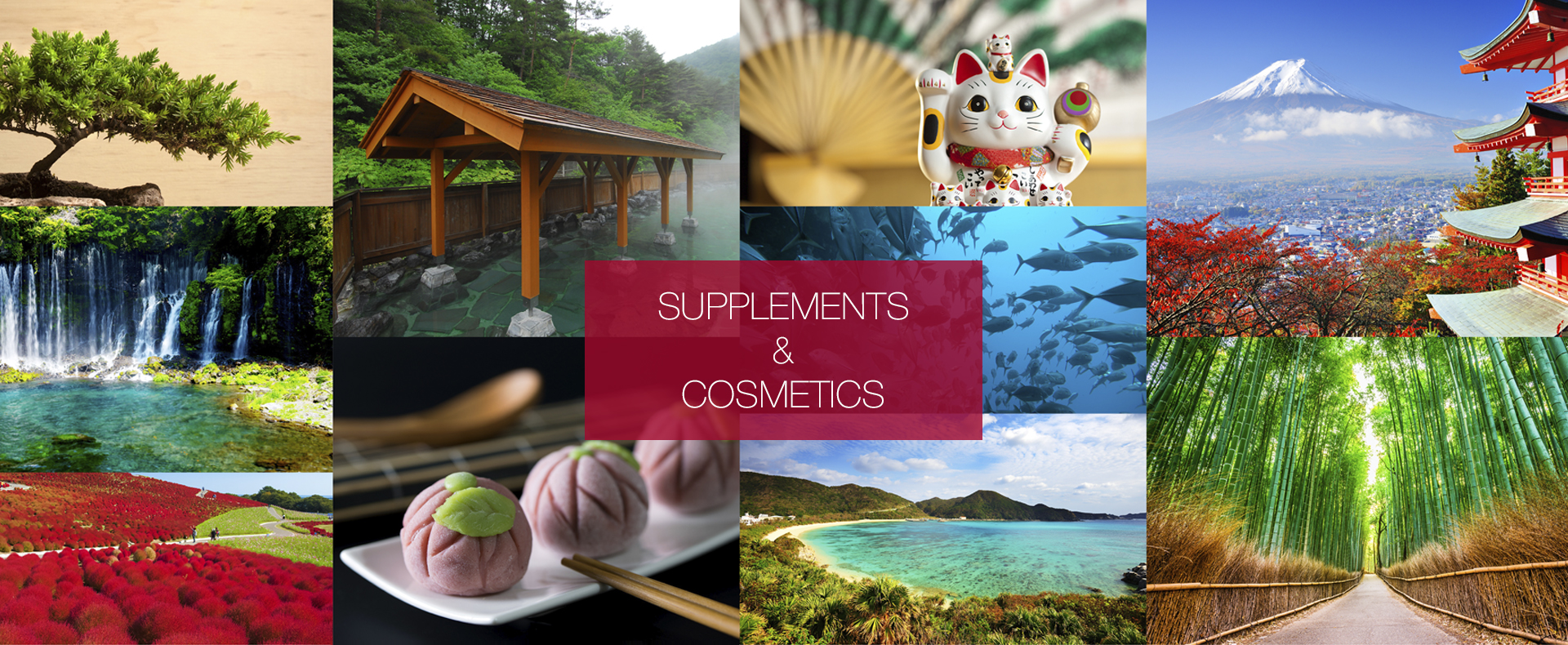 KWCについてもっと詳しく